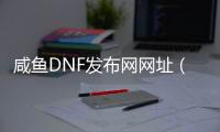 咸鱼DNF发布网网址（闲鱼买dnf账号）
