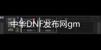 中华DNF发布网gm