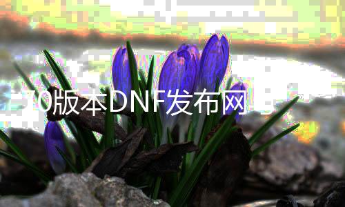 70版本DNF发布网与勇士私服（DNF发布网70版本手游下载）